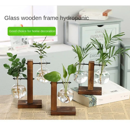 1Pc Terrarium Hydroponic Plant Vases