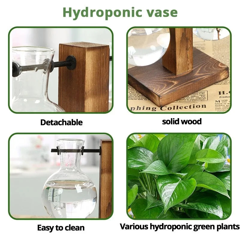 1Pc Terrarium Hydroponic Plant Vases